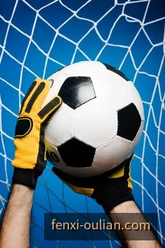 欧联杯赛中观看入口缩略图
